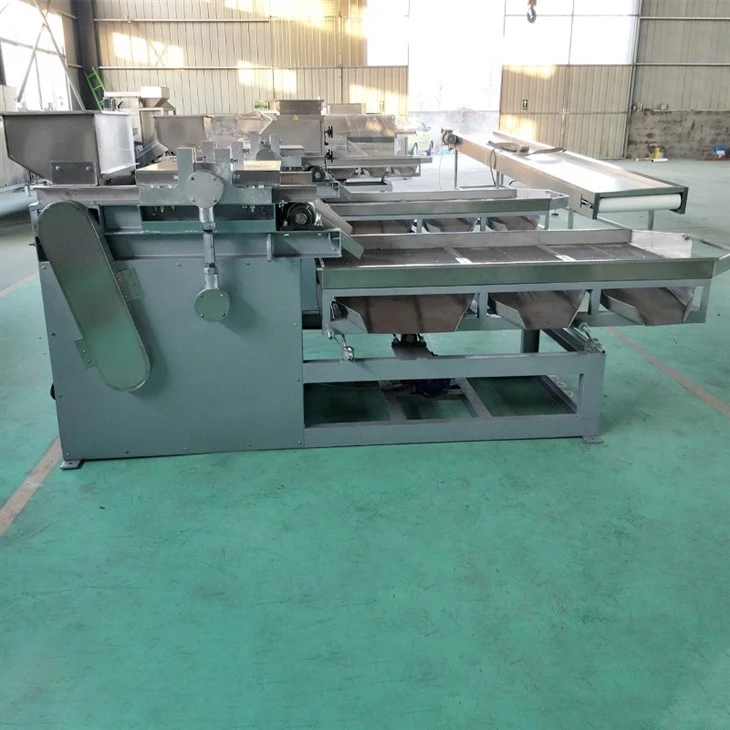 peanut cutting machine