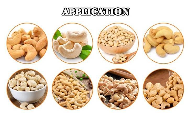 Cashew Nut Processing Machine