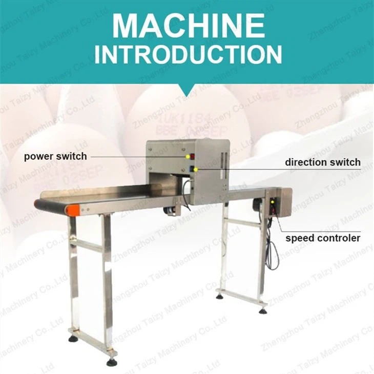 egg printer structure
