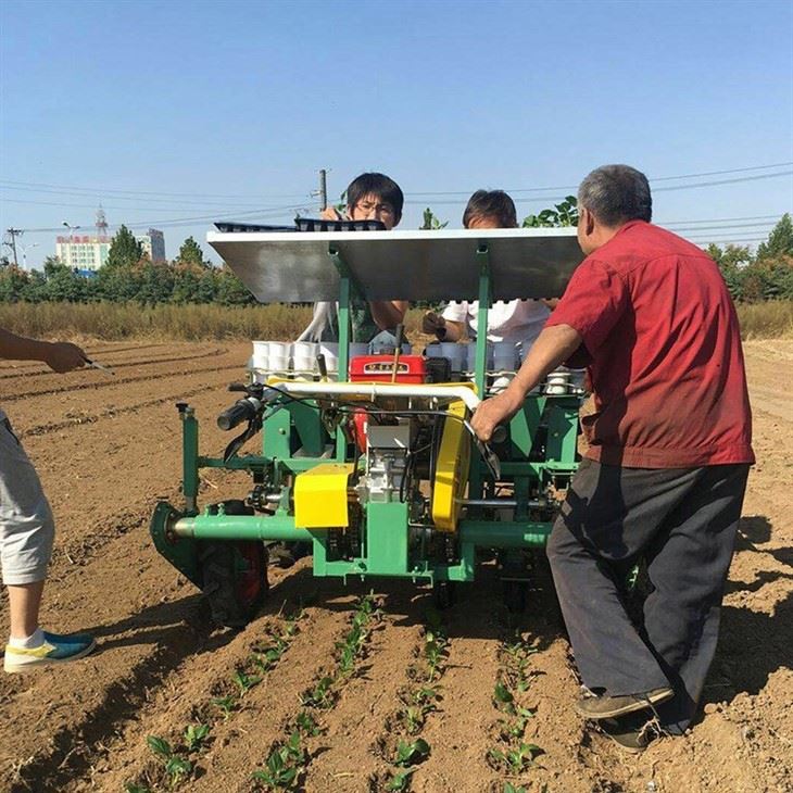 Seedling Transplanter