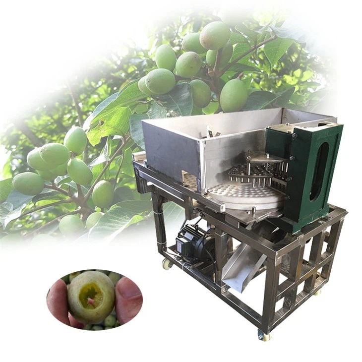plum pitting machine
