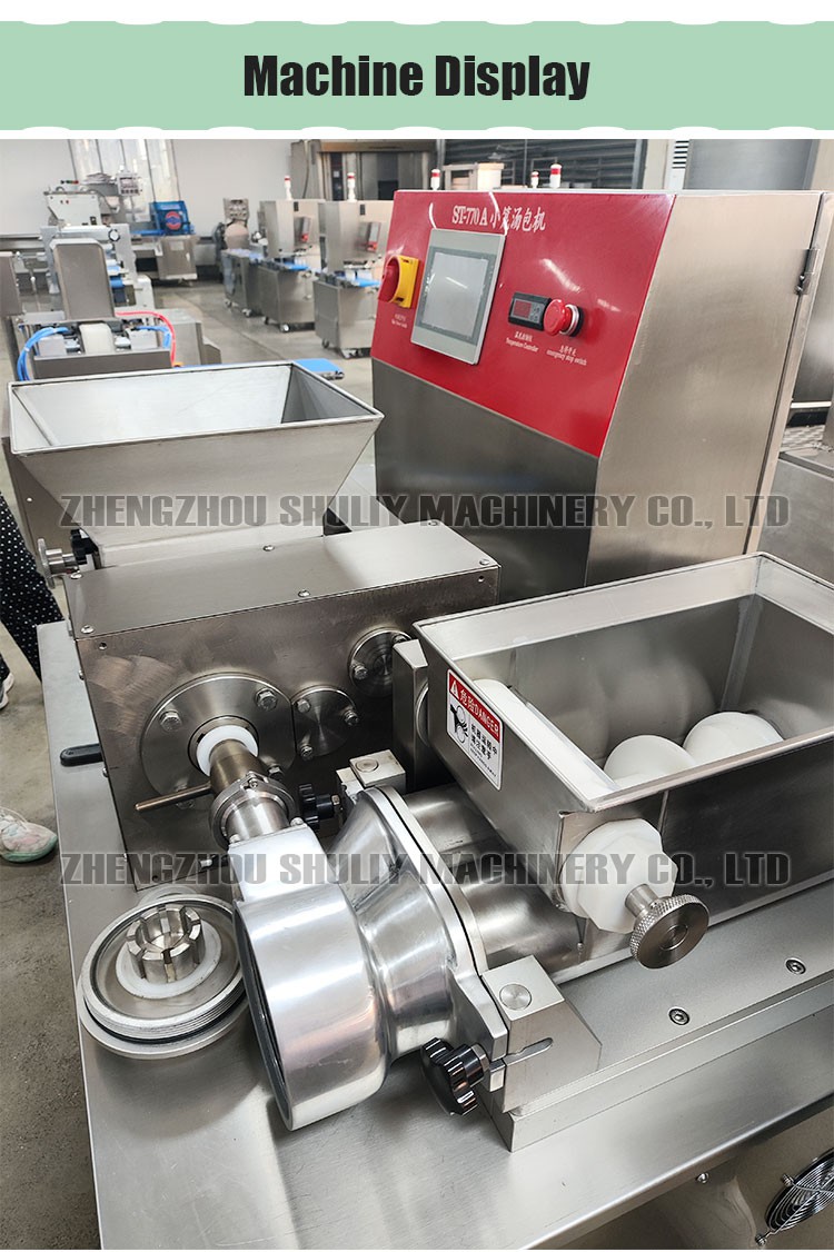 soup dumpling maker soup dumpling maker